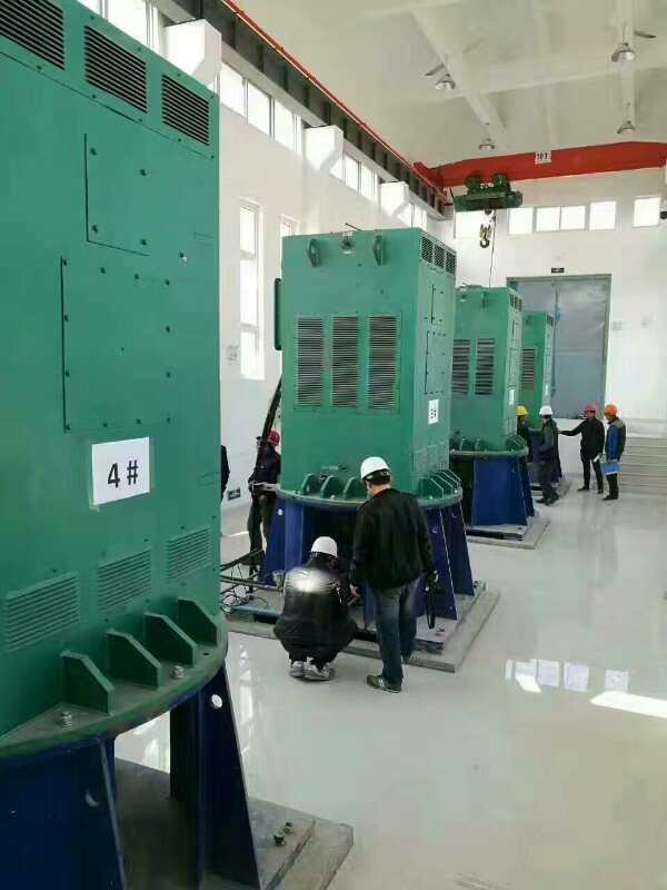康县某污水处理厂使用我厂的立式高压电机安装现场生产厂家